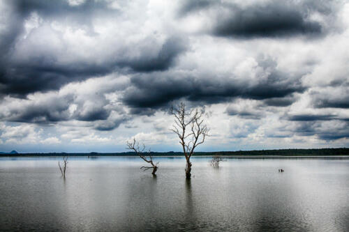 10 points-Weicome-D Seneviratne