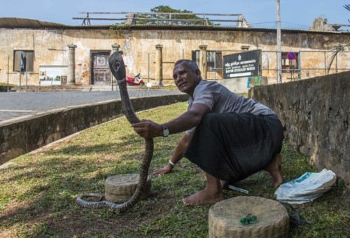 10 points-Snake Dance-Sumudu Soyza