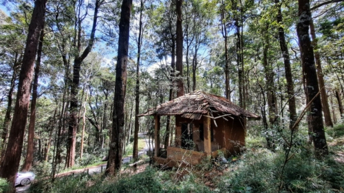 11 points-Left behind-Ashan Fernando