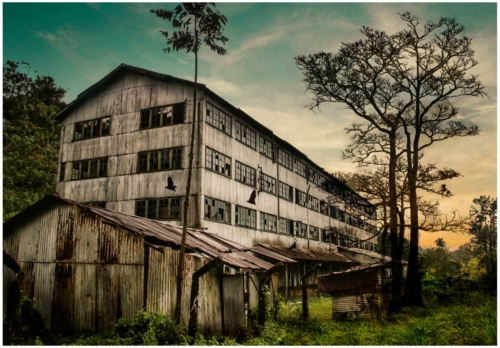 11 points-Tea Factory-Ajith Hidakaraldeniya