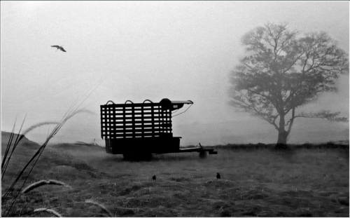 11 points-Rest-Dharmaviyaja Seneviratne