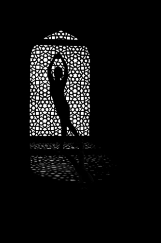 11 points-Silouhette-Kaumini Samarakone