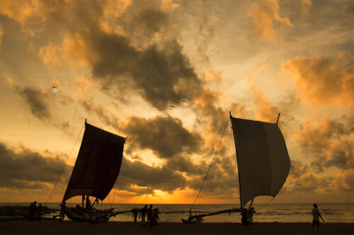 12 points-Sunset-Ajitha Edirimane