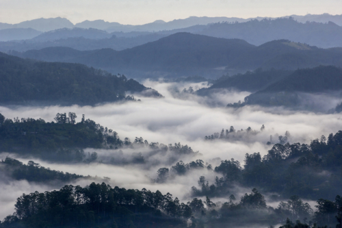 12 points-Misty Valley-Pradeep Mallikararchchi