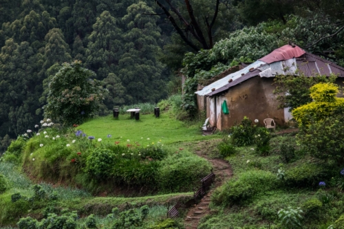 12 points-At Paradise-Ashan Fernando