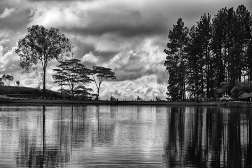 13 points-The call of Tranquility-Gitanjali Mawalagedera