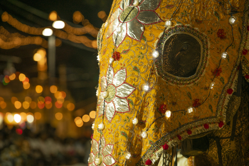 8 points-Master of the parade-Waznie Neas