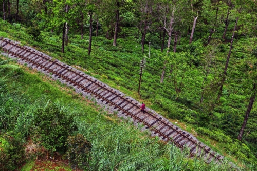 8 points-Colonial Legacy-Gitanjali Mawalagedera