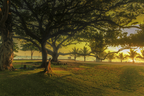 8 points-GOLDEN MORNING-Arulramalingam