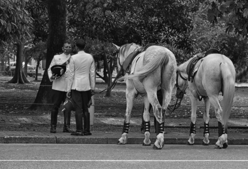 8 points-Couple-Gitanjali Mawalagedera