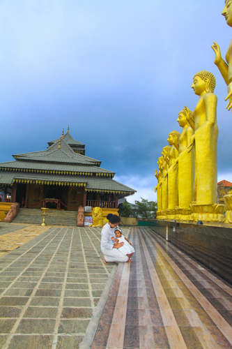 8 points-Nelligala-Dharmaviyaja Seneviratne