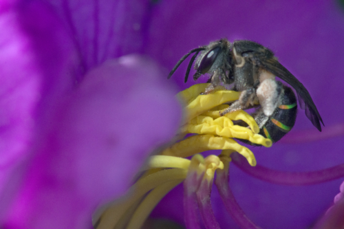 8 points-Complementing-Nilan Herath