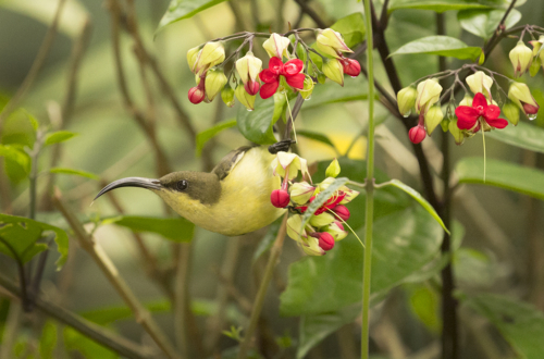 8 points- Seek and you will find-01-Ajitha Edirimane