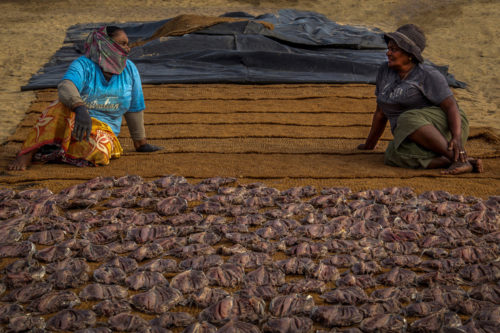 9 points-Rest Time-Pradeep Mallikararchchi