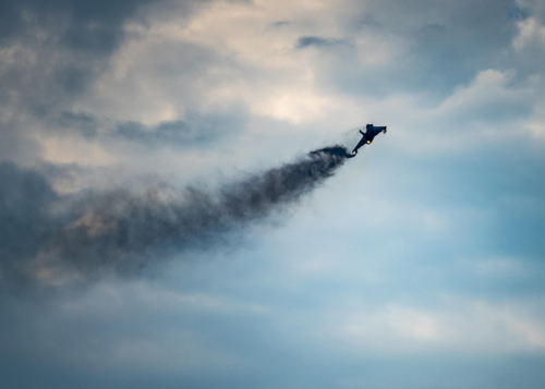 9 points-Beast of the sky-Waznie Neaz