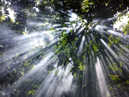 9 points-SUN RAYS-Hashan Dananjaya